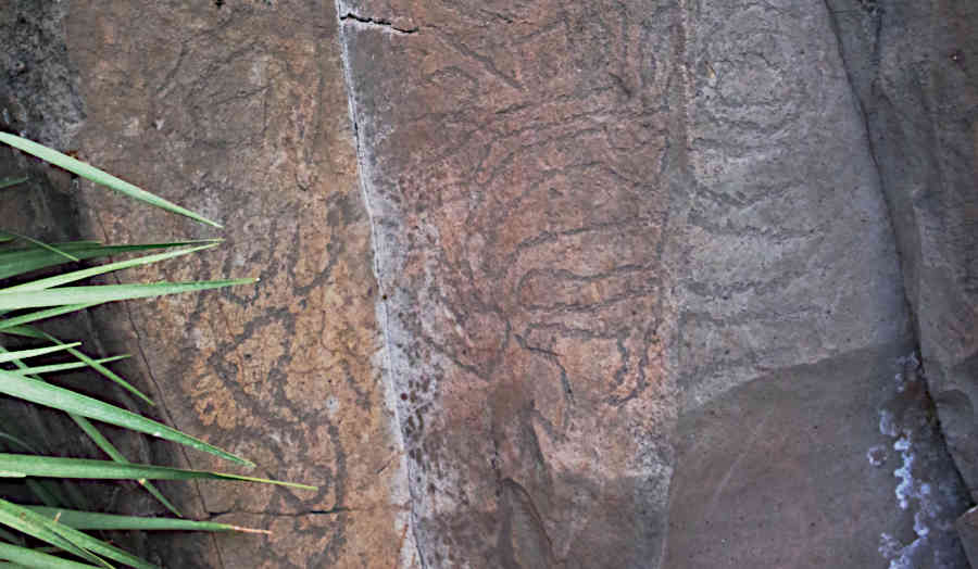 Pre-Hispanic rock carving at Burracas caves, Las Tricias, Garafía, La Palma island